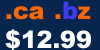 dot ca, bz domain registration