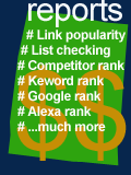 web site report